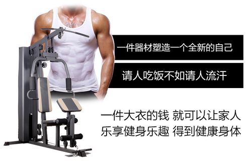 24多功能综合训练器 家用健身用品 组合力量器械 单人站厂家直销